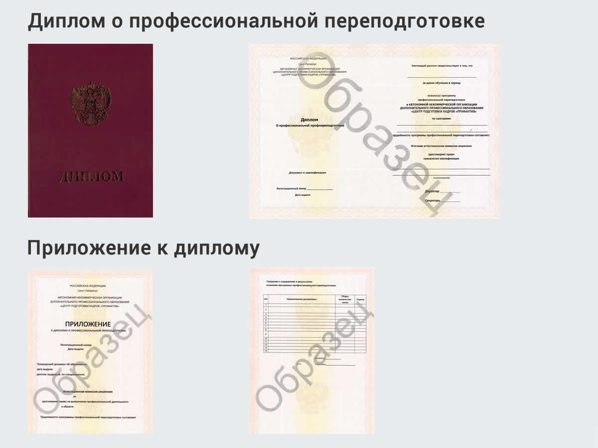  Профессиональная переподготовка по направлению «Холодильное оборудование» в Советске