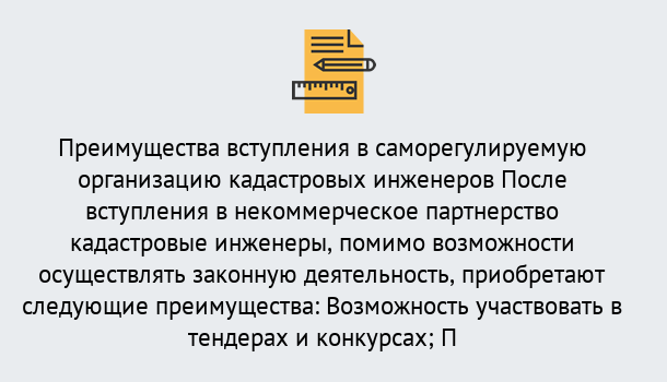 Почему нужно обратиться к нам? Советск Что дает допуск СРО кадастровых инженеров?