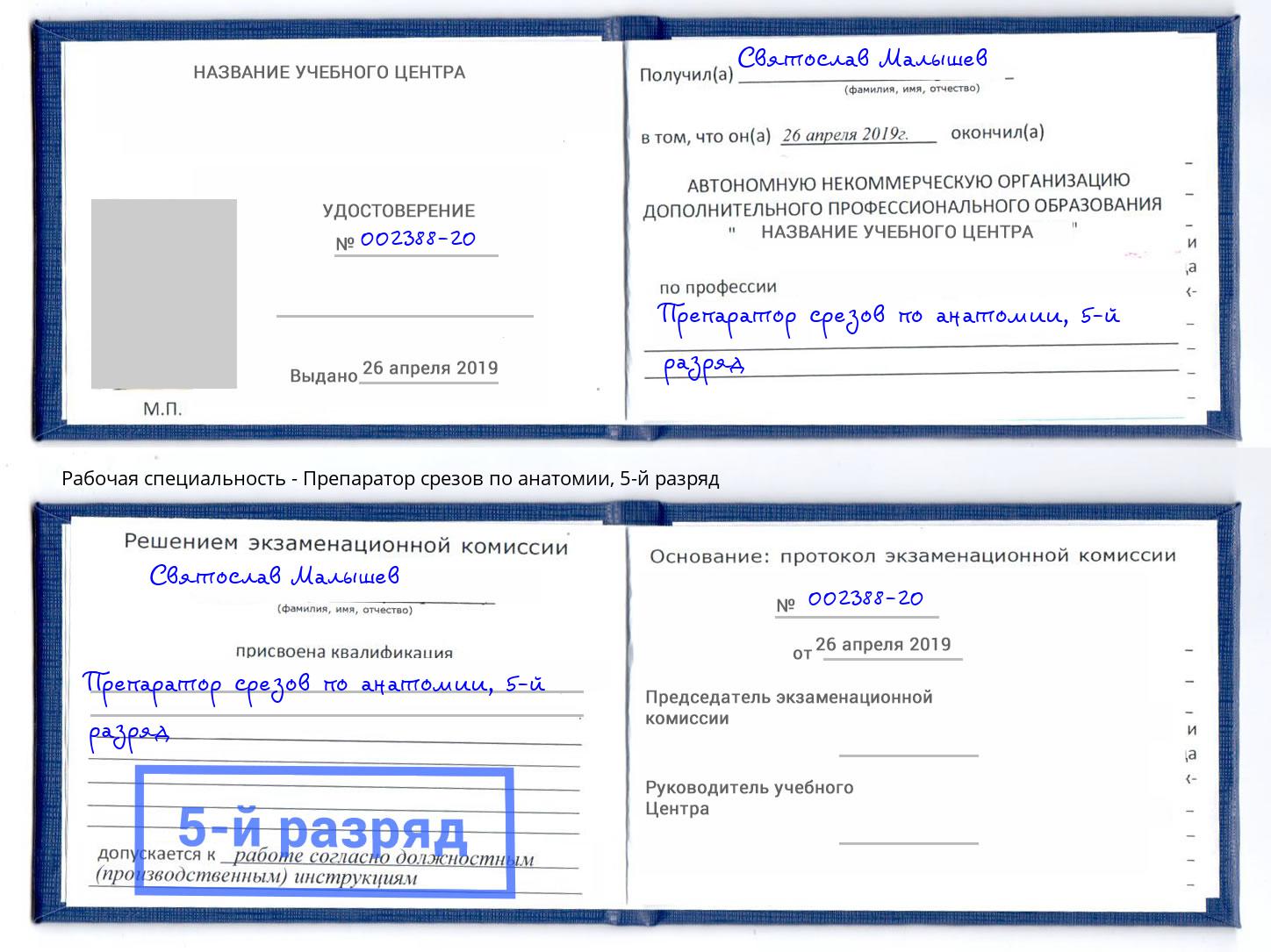 корочка 5-й разряд Препаратор срезов по анатомии Советск