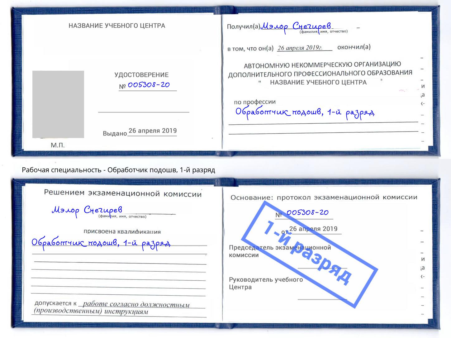корочка 1-й разряд Обработчик подошв Советск