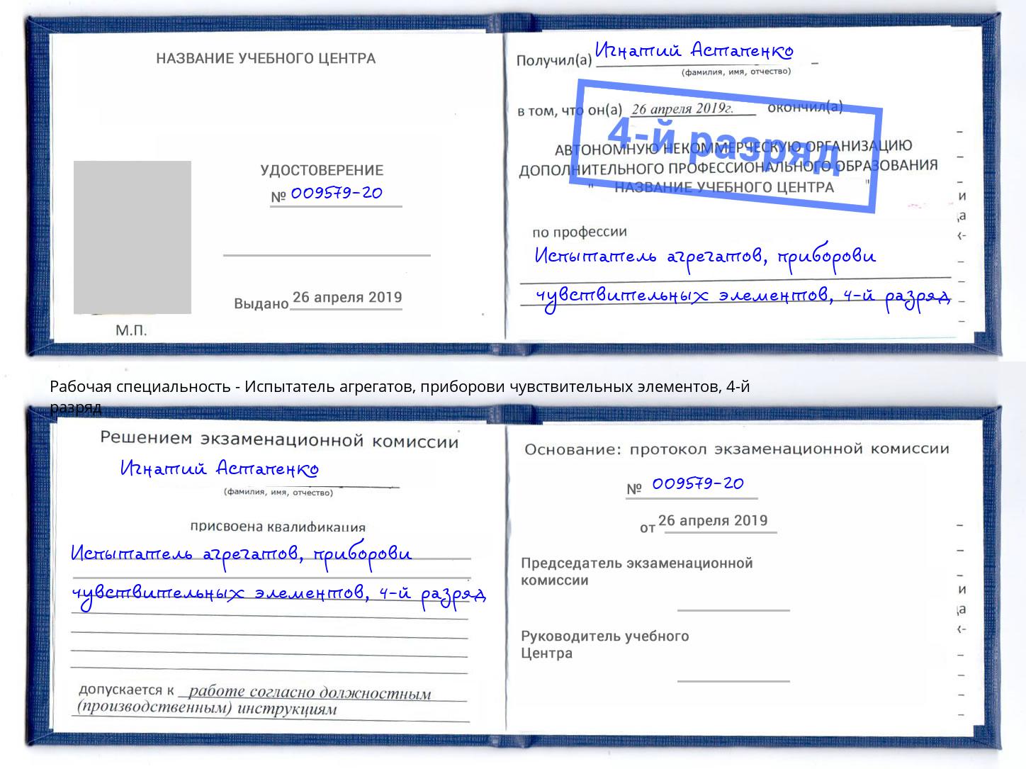 корочка 4-й разряд Испытатель агрегатов, приборови чувствительных элементов Советск