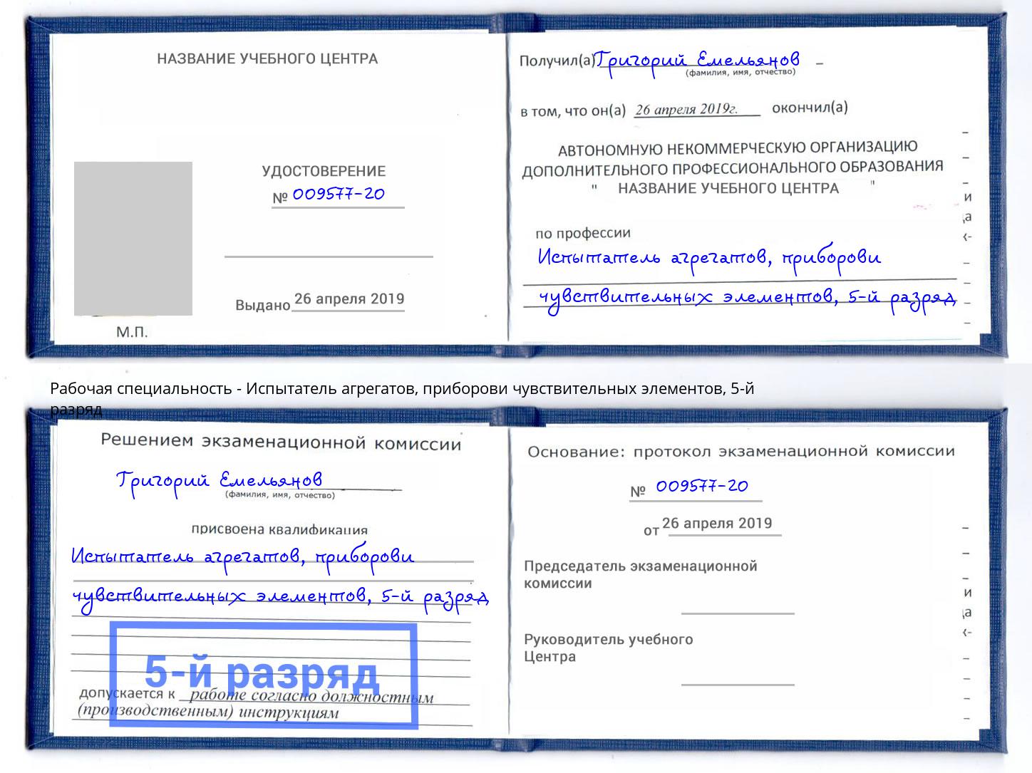 корочка 5-й разряд Испытатель агрегатов, приборови чувствительных элементов Советск