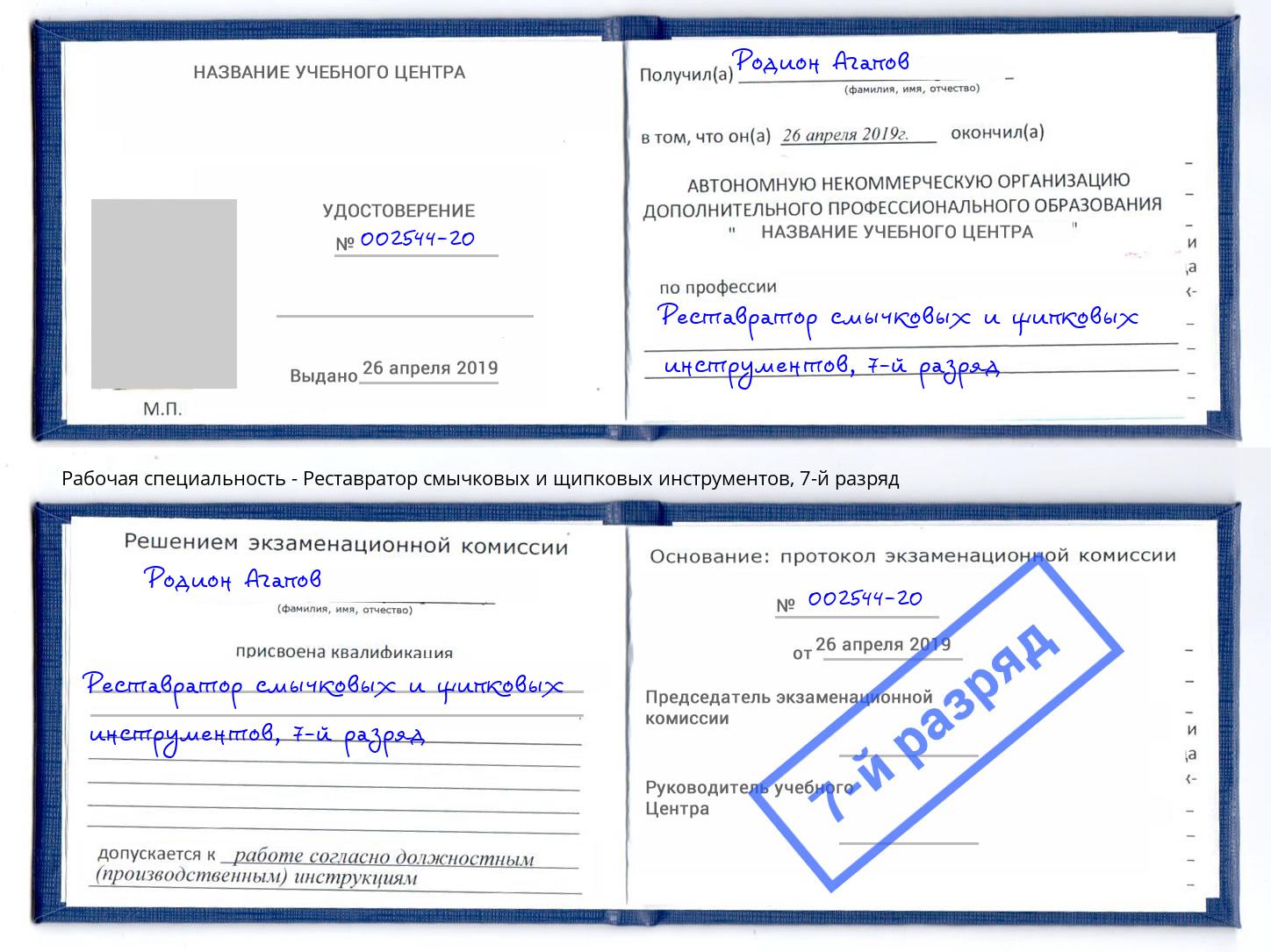 корочка 7-й разряд Реставратор смычковых и щипковых инструментов Советск