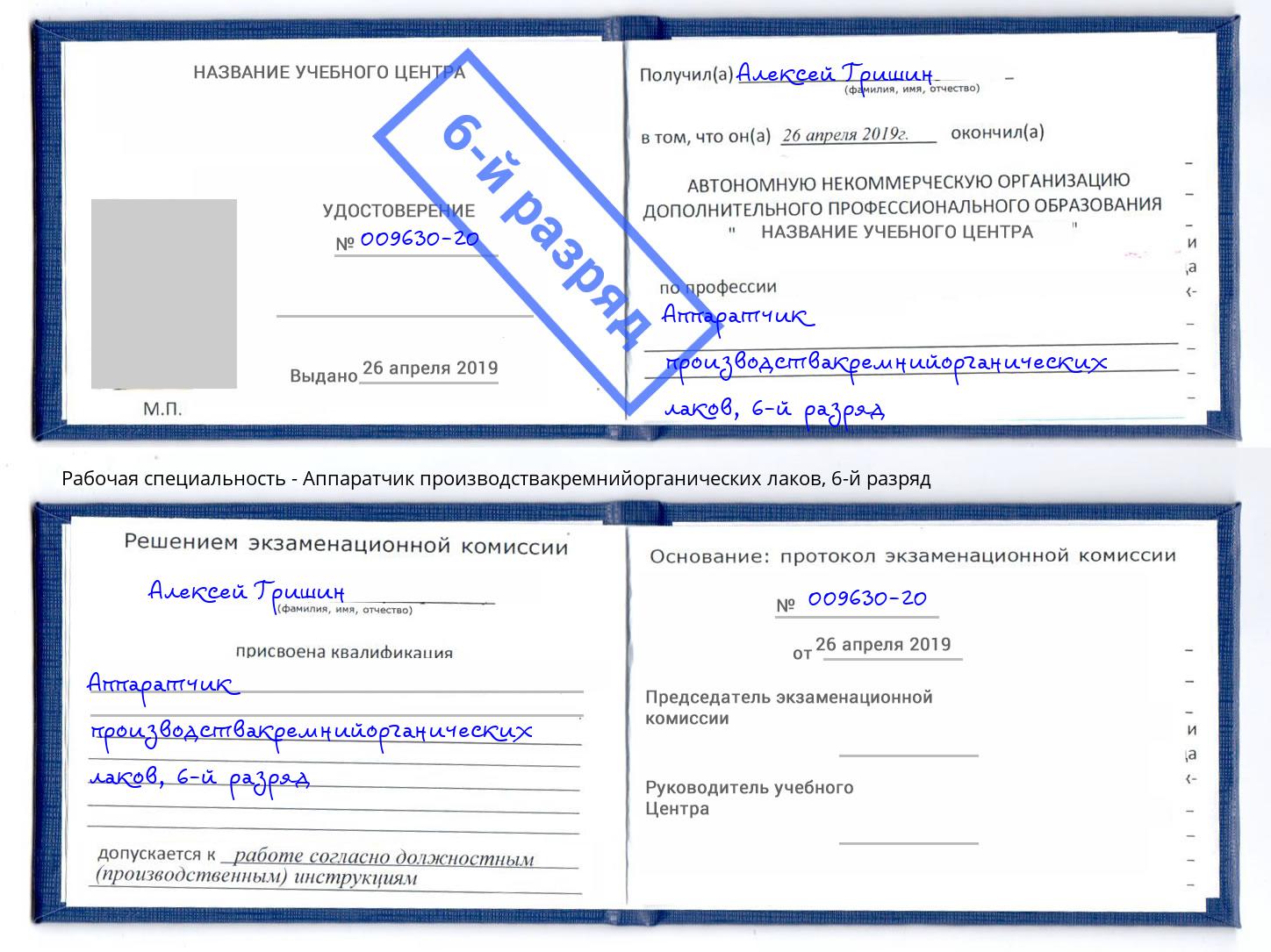 корочка 6-й разряд Аппаратчик производствакремнийорганических лаков Советск