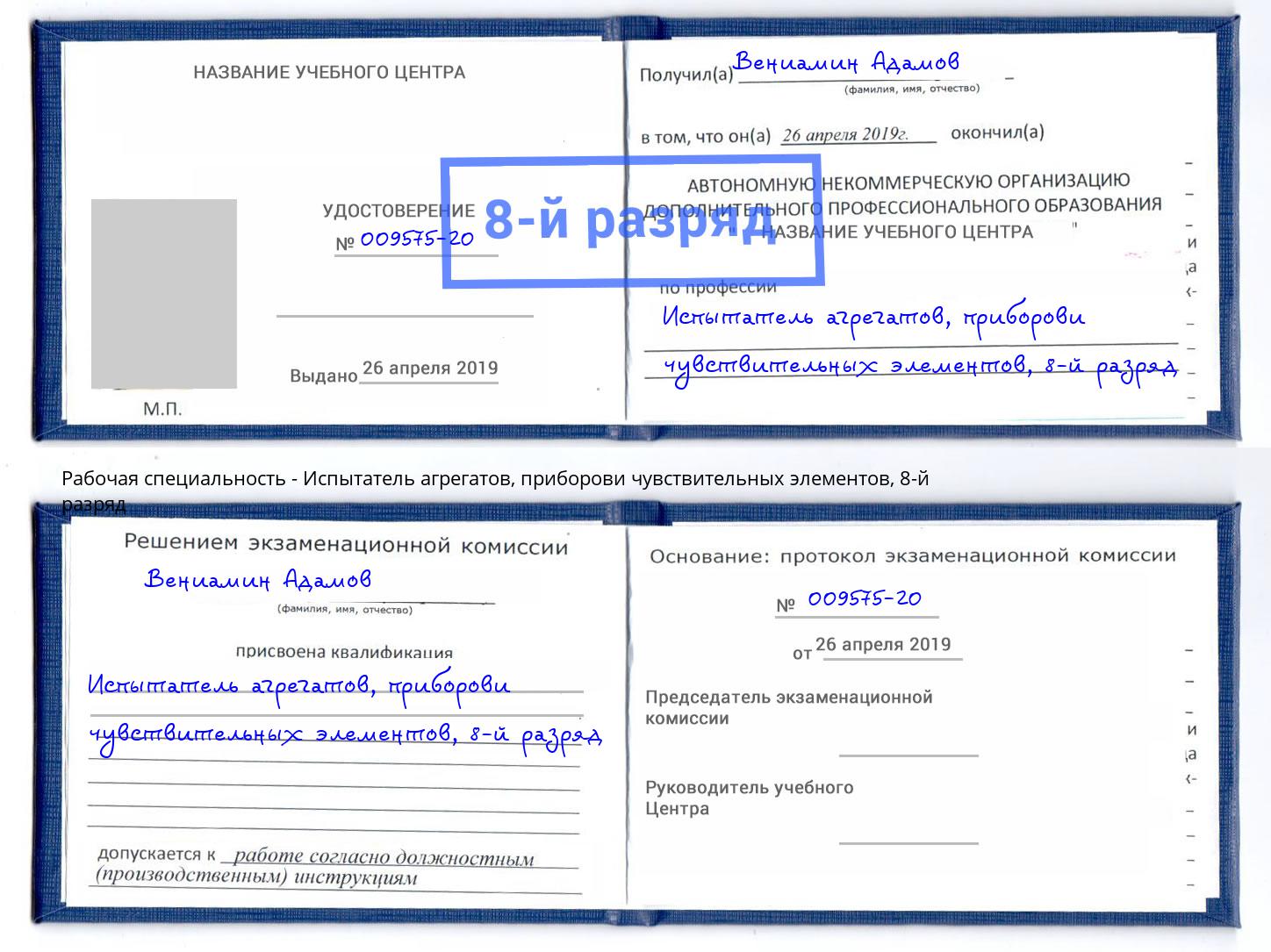 корочка 8-й разряд Испытатель агрегатов, приборови чувствительных элементов Советск